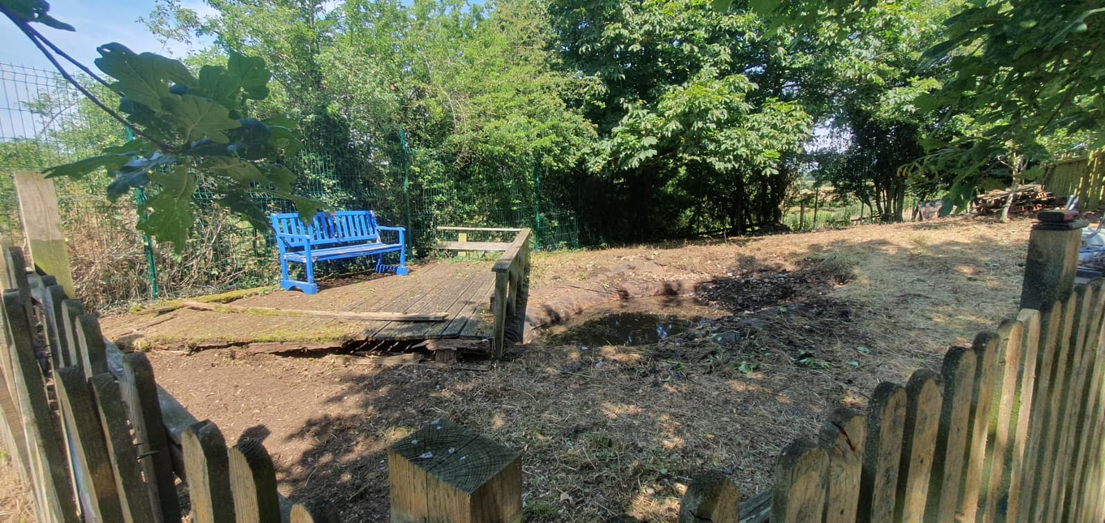 The tired original decking beside the school pond before replacement